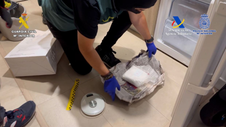 Vídeo de cómo fue desarticulada una organización criminal dedicada al tráfico de drogas en Navarra