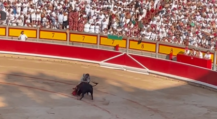 El diestro valenciano ha estado muy certero con el estoque