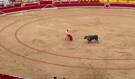 Primeros derechazos de Sebastián Castella
