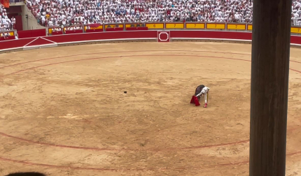 Primer toro de la tarde para Ginés Marín