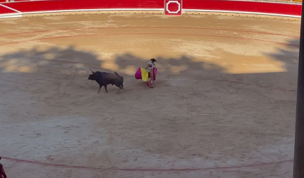Roca Rey al capote por gaoneras