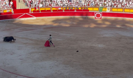 Primer toro de la tarde para Tomás Rufo