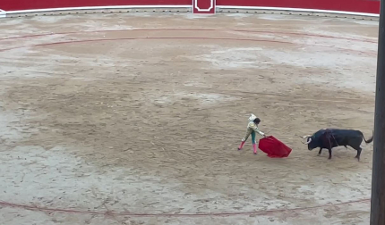 Perera con el segundo toro de la tarde