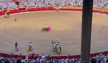 Talavante conduce al toro al picador