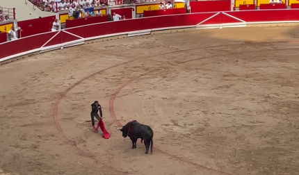 Estocada de Ortega al tercer toro de la tarde