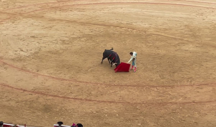Arriesga Daniel Luque con el quinto toro de la tarde