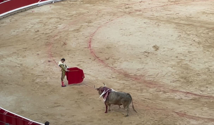 Serie de Roca Rey con el quinto toro de la tarde