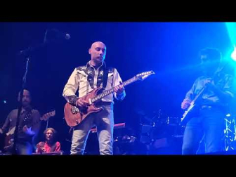 BROTHERS IN BAND 'Sultans of Swing'
