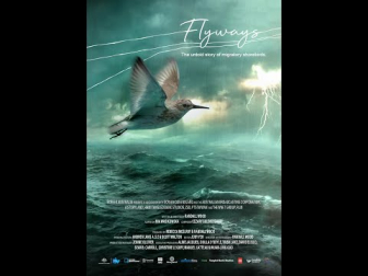 'Rutas migratorias' Tráiler.