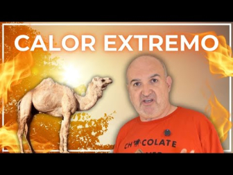 ¿Hace cada vez más calor en verano o es solo una sensación? Juan Antonio Aguilar Saavedra, investigador en el Instituto de Física Teórica (IFT), analiza más de 80 años de datos de temperatura en Granada usando herramientas estadísticas habituales en física de partículas. ¿Subjetividad o evidencia? Spoiler: los datos no dejan lugar a dudas...