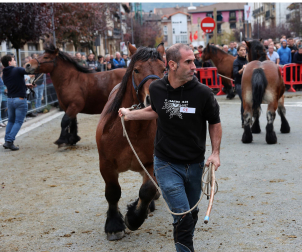 Ferias de Alsasua.