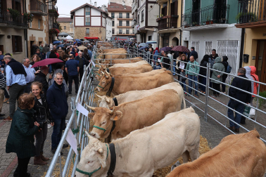 Ferias de Alsasua.