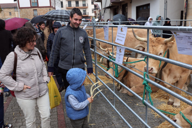 Ferias de Alsasua.