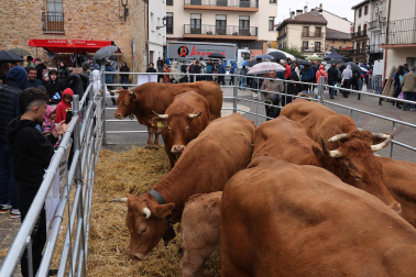 Ferias de Alsasua.