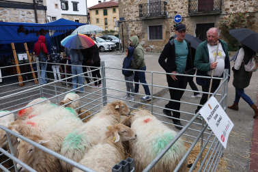 Ferias de Alsasua.