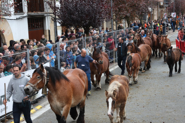 Ferias de Alsasua.