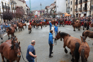 Ferias de Alsasua.