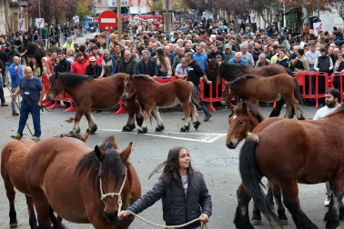 Ferias de Alsasua.