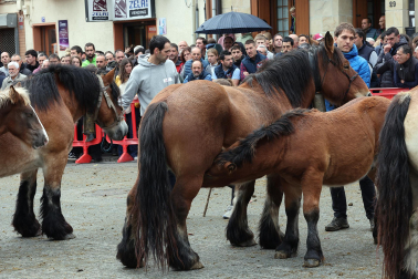 Ferias de Alsasua.