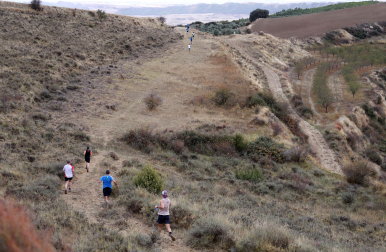Foto de la VIII edición del Trail Arróniz