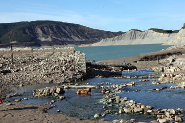 Imágenes del embalse de Yesa, al 15% de su capacidad el 12 de noviembre tras un verano de sequía y riegos /