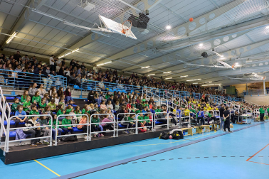 Replasa Beti Onak-Yellow Winthertur.