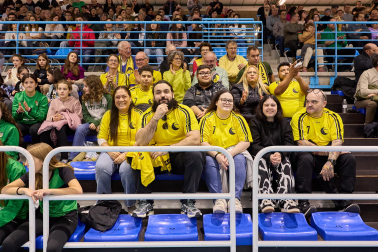 Replasa Beti Onak-Yellow Winthertur.
