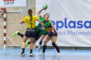 Replasa Beti Onak-Yellow Winthertur.