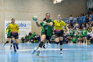 Replasa Beti Onak-Yellow Winthertur.
