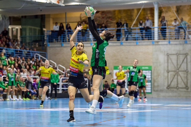 Replasa Beti Onak-Yellow Winthertur.