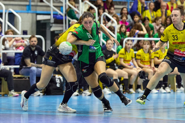 Replasa Beti Onak-Yellow Winthertur.