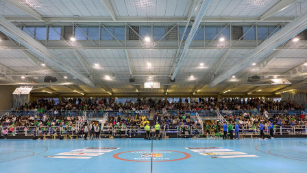 Yellow Winterthur-Replasa Beti Onak: partido de la EHF European Cup.