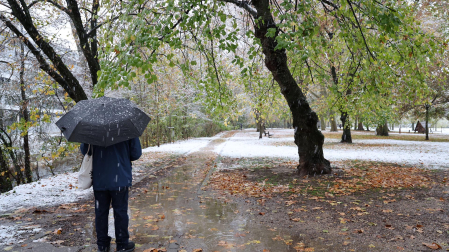 nieve estella