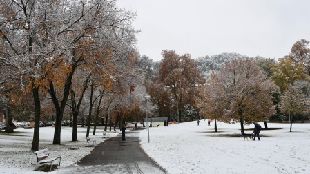 nieve estella