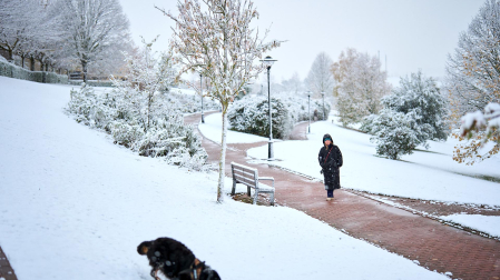 Nieve Pamplona