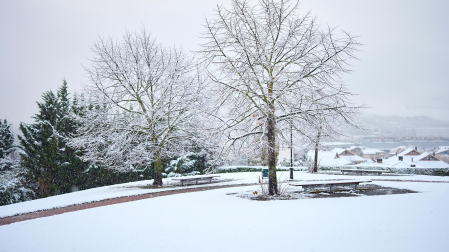 Nieve Pamplona