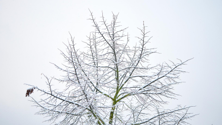 Nieve Pamplona