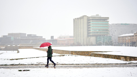 Nieve Pamplona