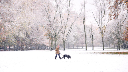 Nieve Pamplona