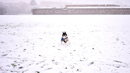 Nieve Pamplona