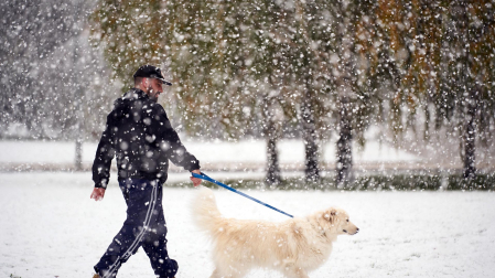 Nieve Pamplona