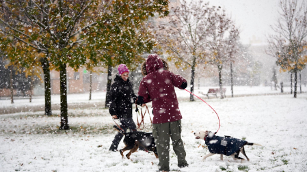 Nieve Pamplona