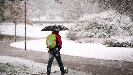 Nieve Pamplona