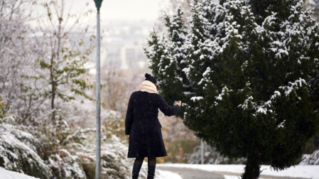 Nieve Pamplona