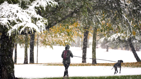 Nieve Pamplona