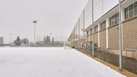 Tajonar nieve