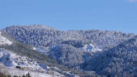 nevada