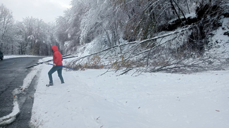El peso de la nieve en las ramas de los árboles ha provocado la caída de algunos en el Alto de Uitzi /
