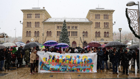 Fotos de la marcha por la diversidad en Estella /