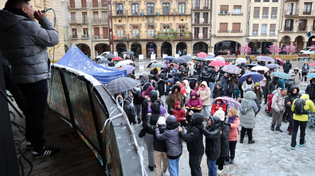 Fotos de la marcha por la diversidad en Estella /